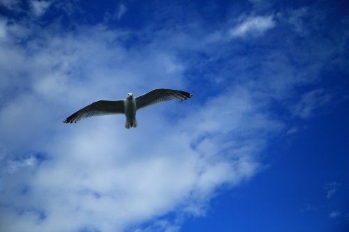 fey-marin-JQXlDDfKkj0-unsplash