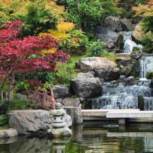 Holland-Park-Kyoto-Gardens-Small-1024x682
